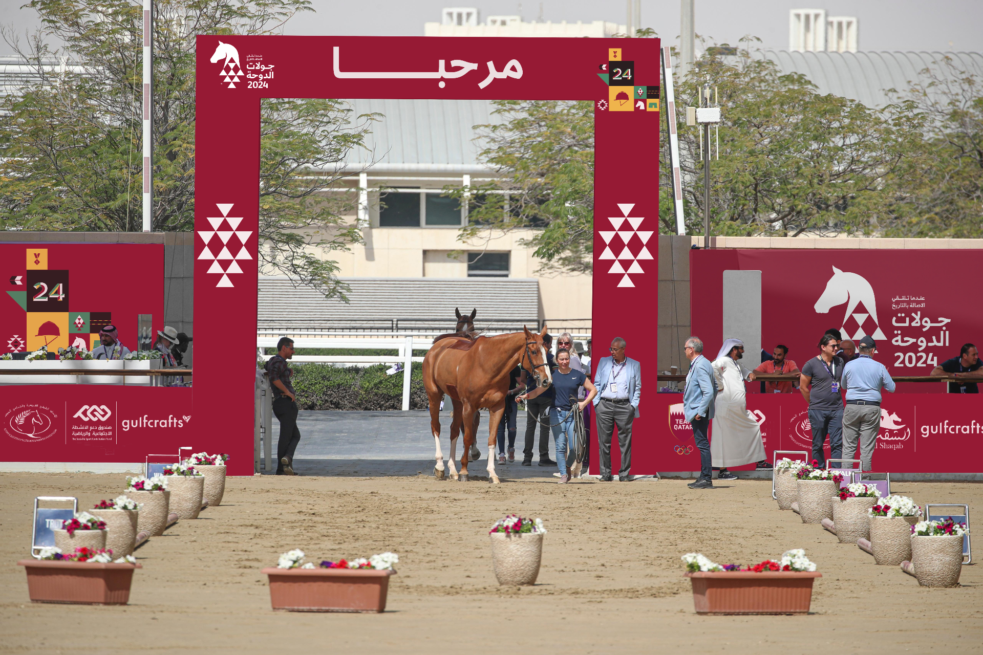 Doha Tour